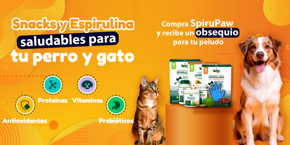 Spirupaw
