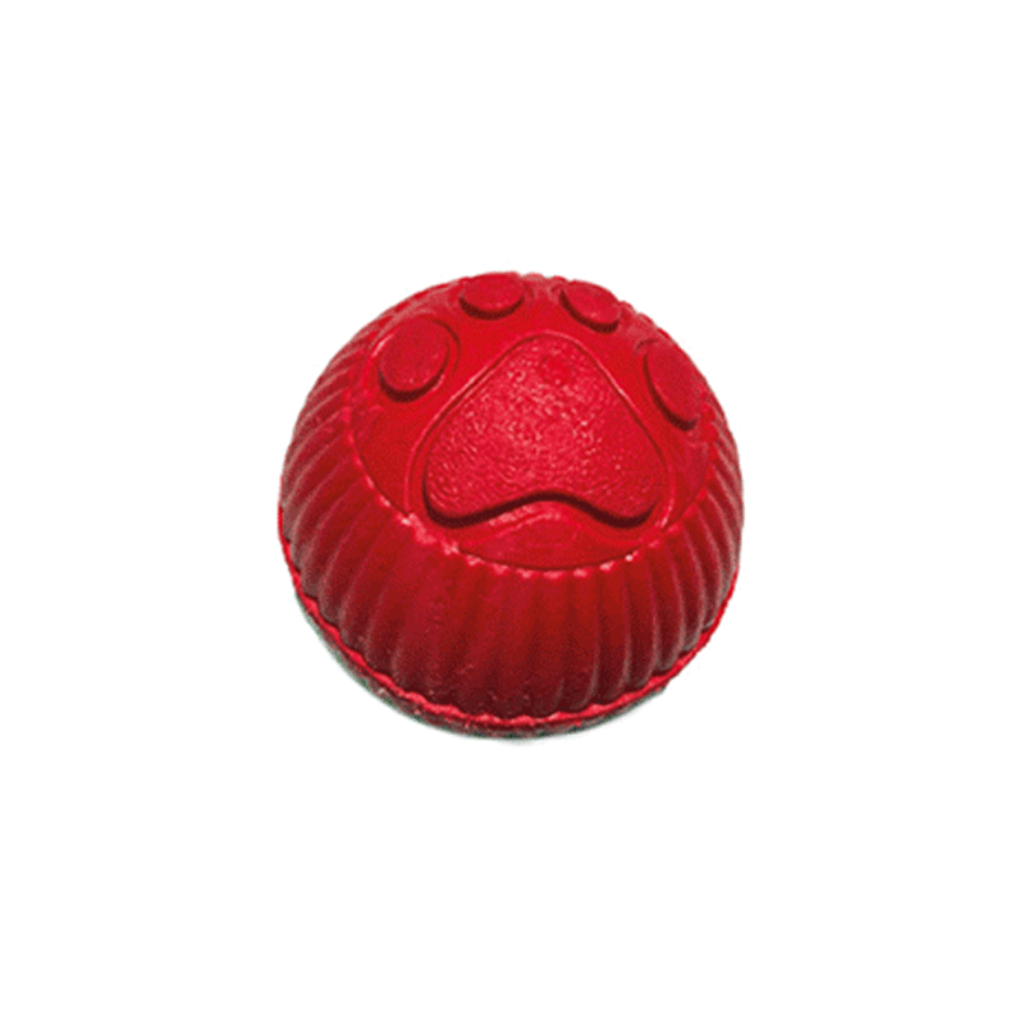 Pelota Grande Huella - Señor Mascota