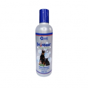 Brillobest Shampoo Romero 250ml_1