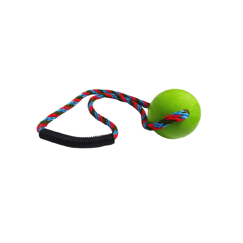 Pelota Lazo Grande - Señor Mascota