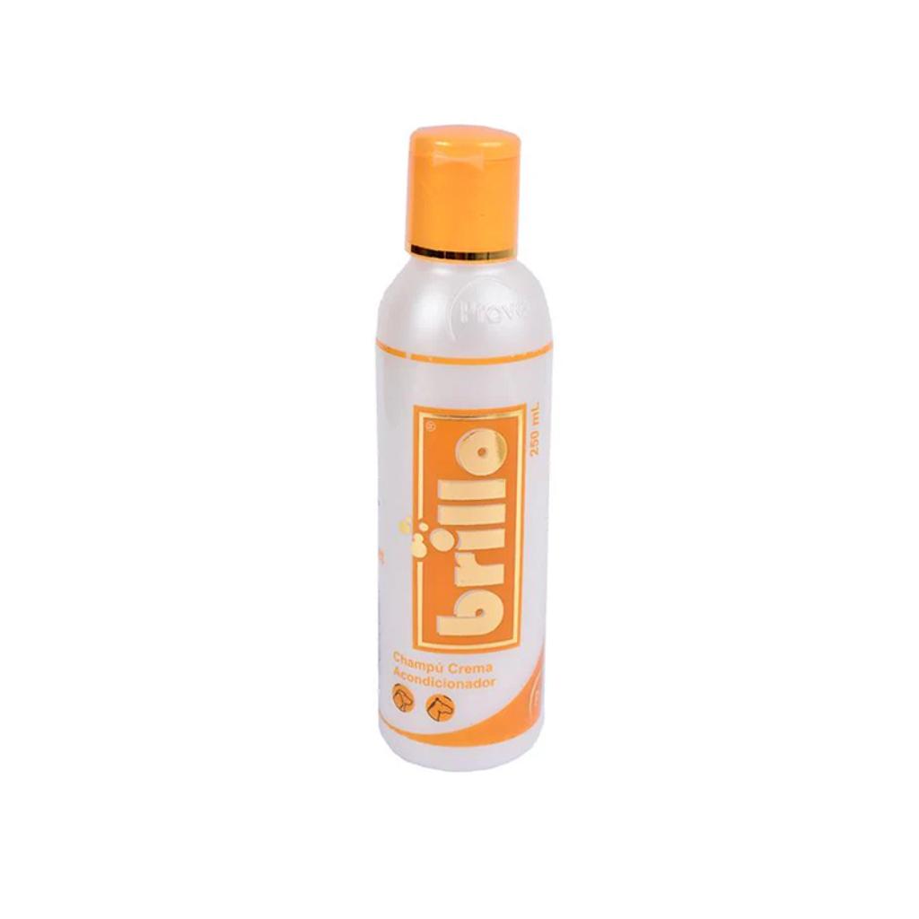 Shampoo Brillo 250Ml_1