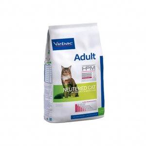 Adulto Cat Neutered 7K_1