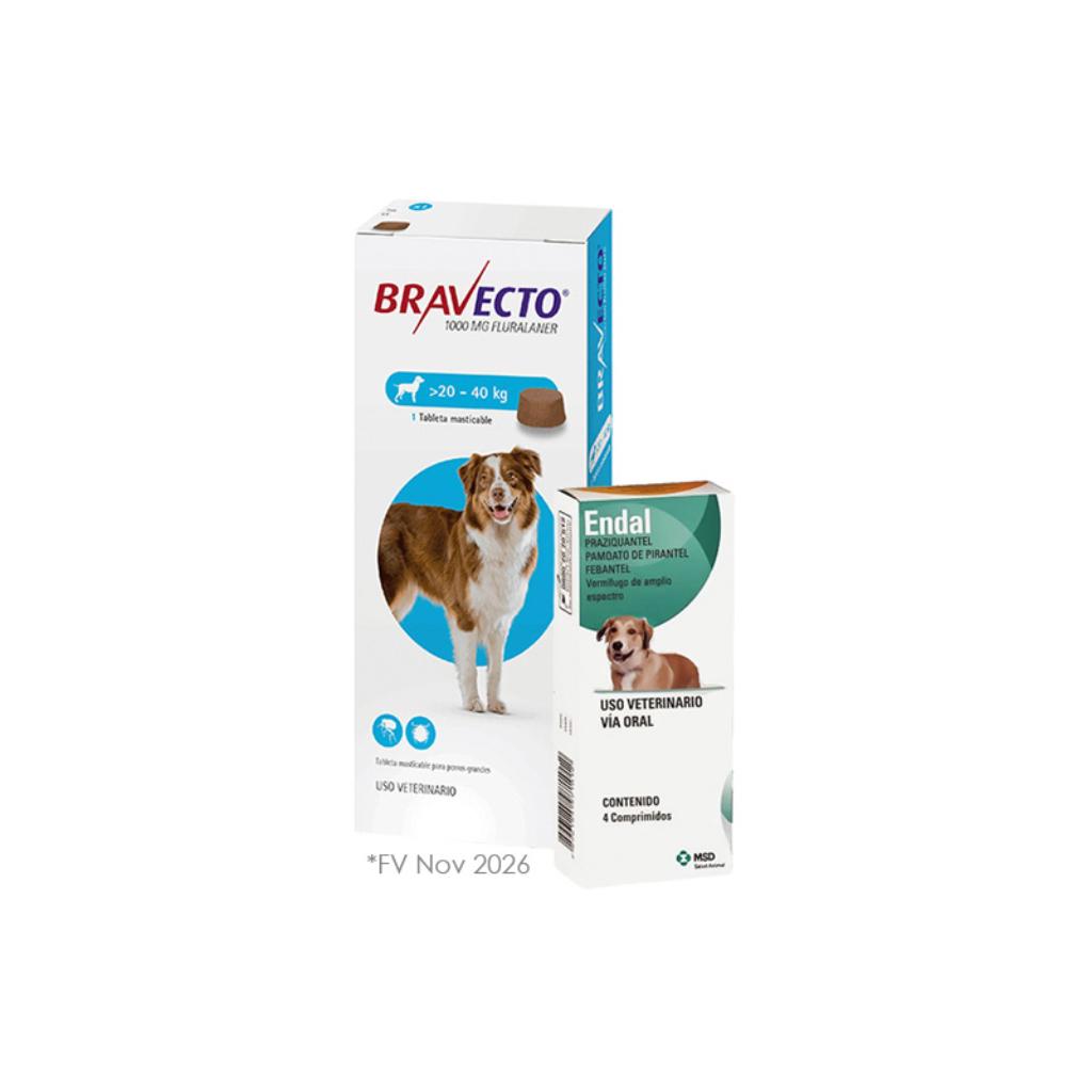 Bravecto 3M 20 a 40kg (Azul) (NOVIEMBRE 2026) (1) + Endal X 4 tabletas (1)  - Señor Mascota