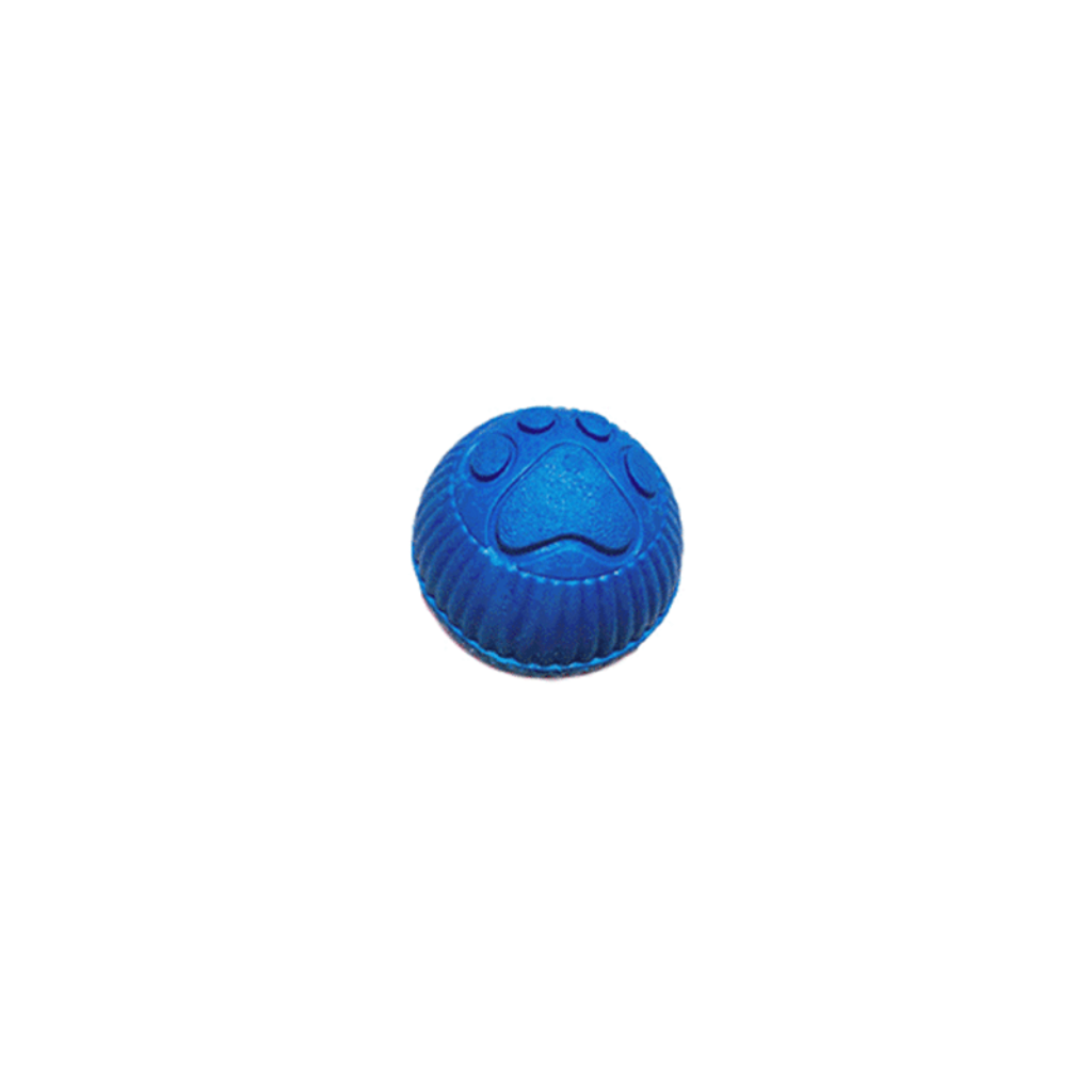 Pelota Mini Huella_1