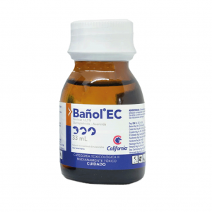 Bañol 12.53Ml_1