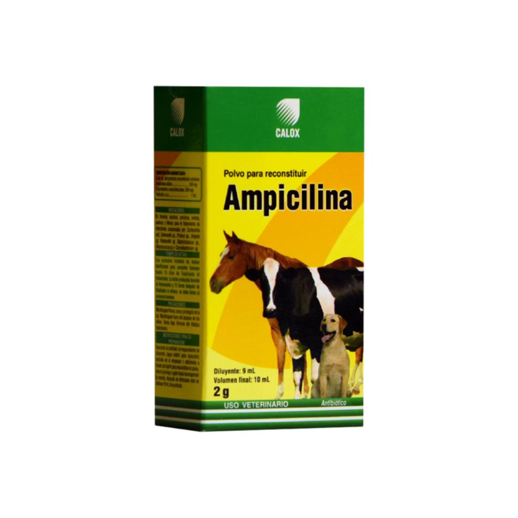Ampicilina Calox 2gr - Señor Mascota