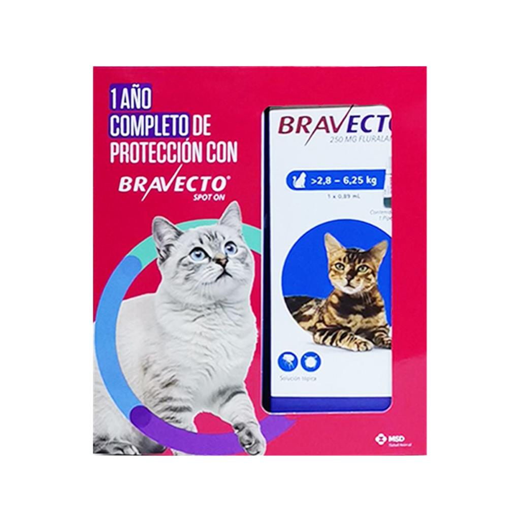 Pack x 4 Unds Bravecto Spot On Cat 2.8 a 6.2kg_1