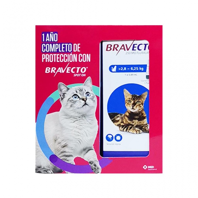 Pack x 4 Unds Bravecto Spot On Cat 2.8 a 6.2kg_1