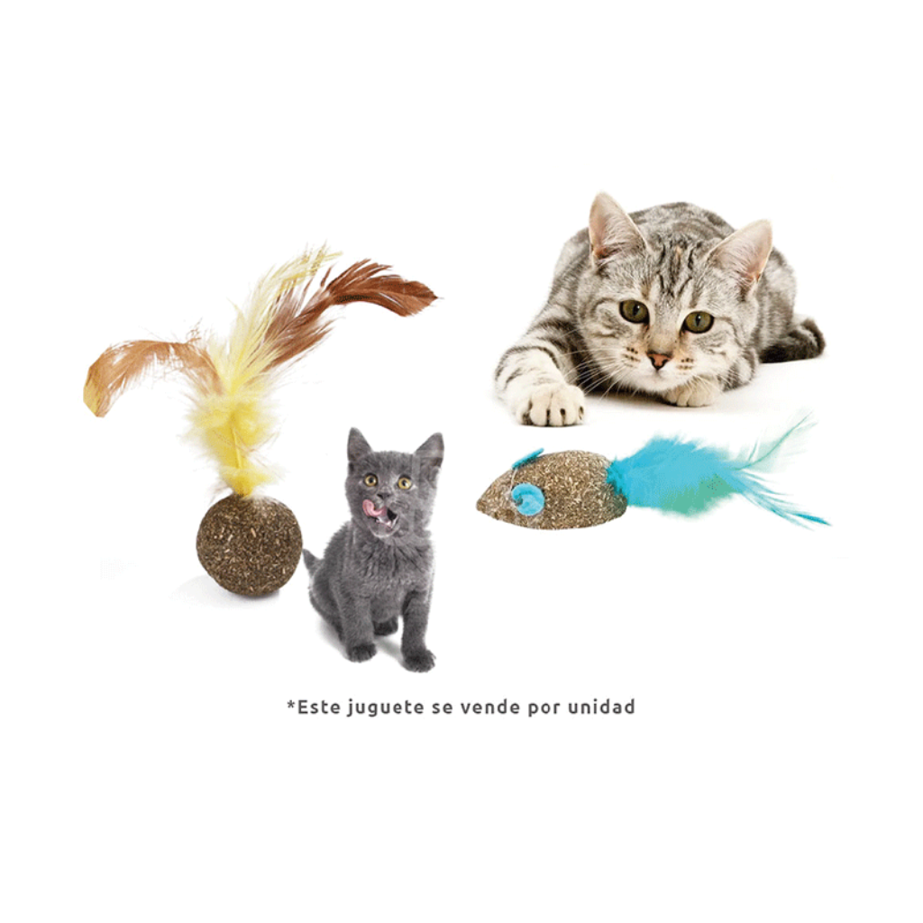 Juguete catnip pluma - Señor Mascota