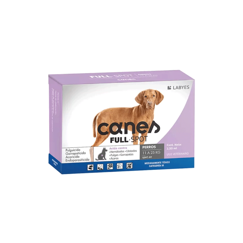 Canis Full-Spot 11 a 25K (Morado)_1