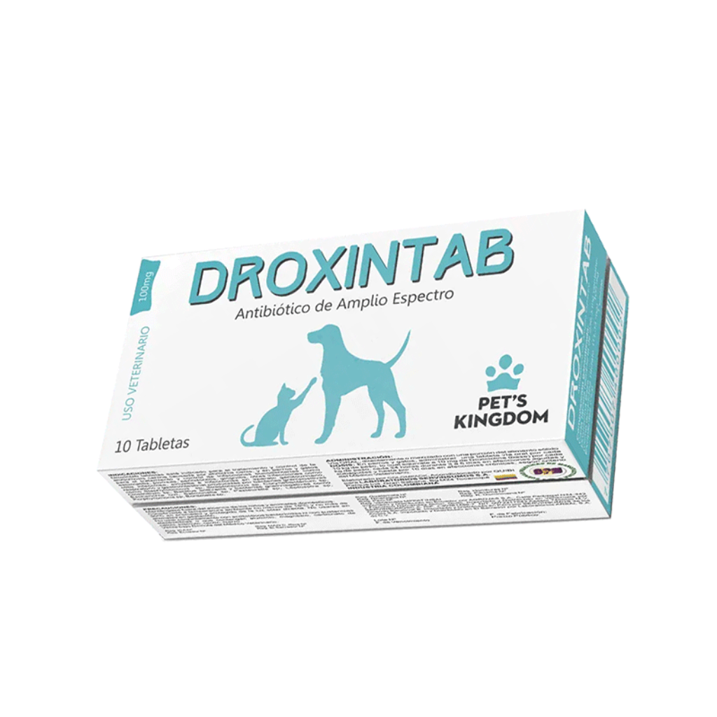 Droxintab 100 Mg 10 Tab_1