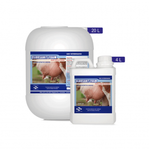 Clorsanit Foam Garrafa 4 Lts_1