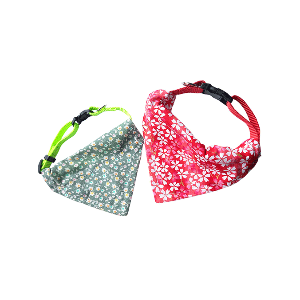 Collar pañoleta S - Señor Mascota Collar pañoleta S - Señor Mascota