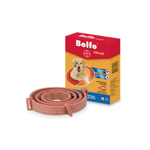 Bolfo Collar Antipulgas_1