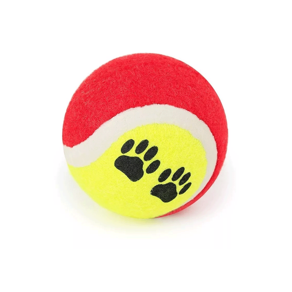 Pelota Tennis - Señor Mascota
