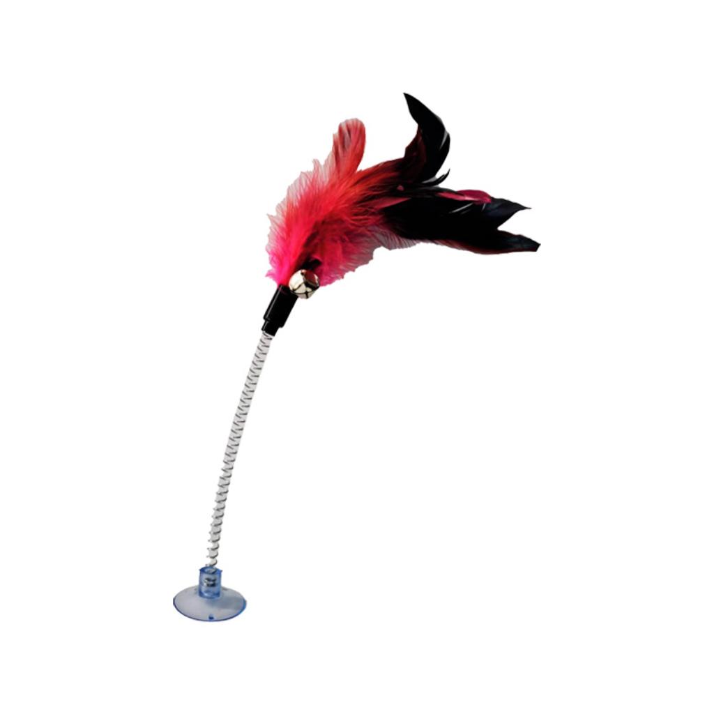 Pluma Chupa - Señor Mascota