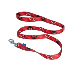 Correa primavera mascota talla S_1