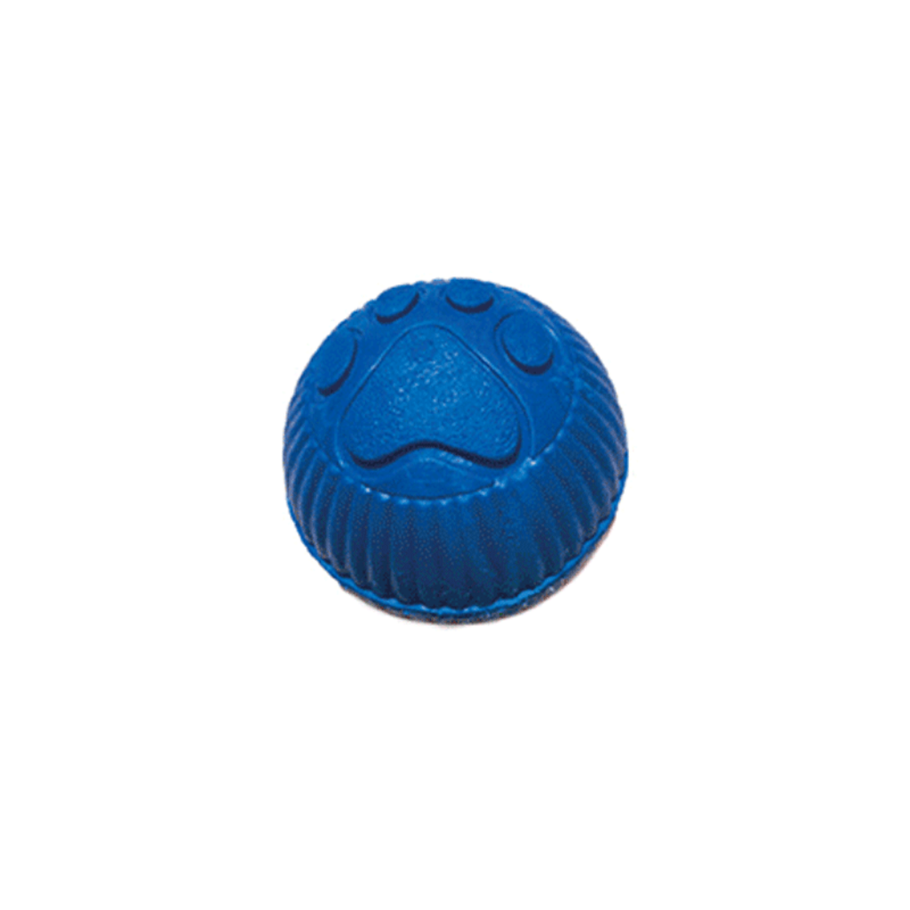 Pelota Mediana Huella_1