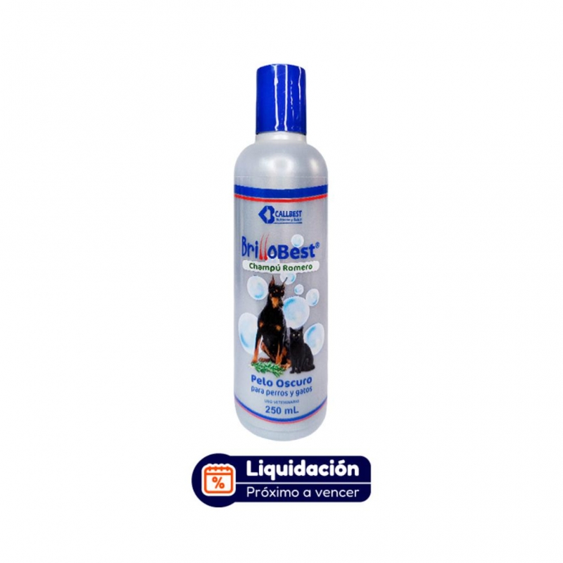 Brillobest Shampoo Romero 250ml (ENERO 2027)_1