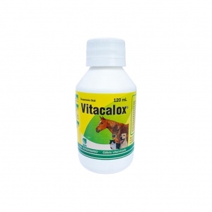 Vitacalox Susp Frasco x 120ml_1