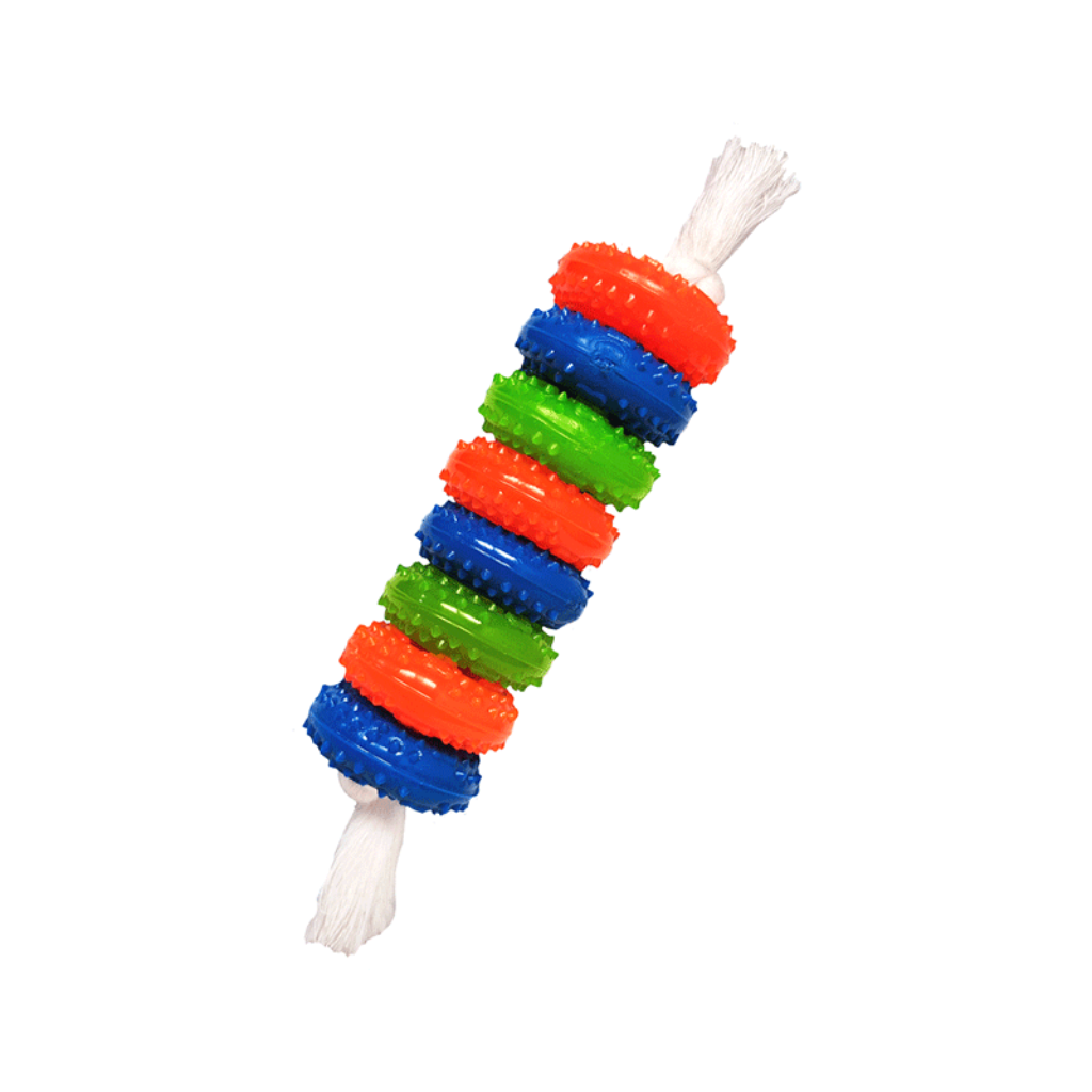 Aros De Colores - Señor Mascota