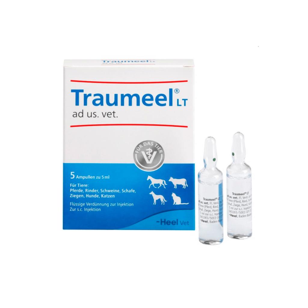 Traumeel X5 Ampollas - Señor Mascota