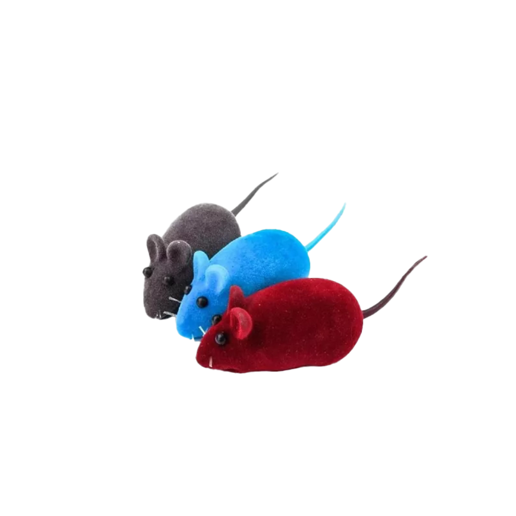 Raton Chillon x3 - Señor Mascota