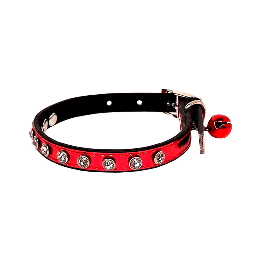 Collar Gato brillantes diamantes_1