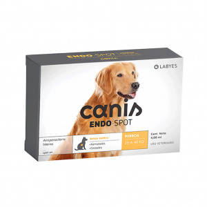 Canis Endo-Spot 26 a 40K (Amarillo)_1