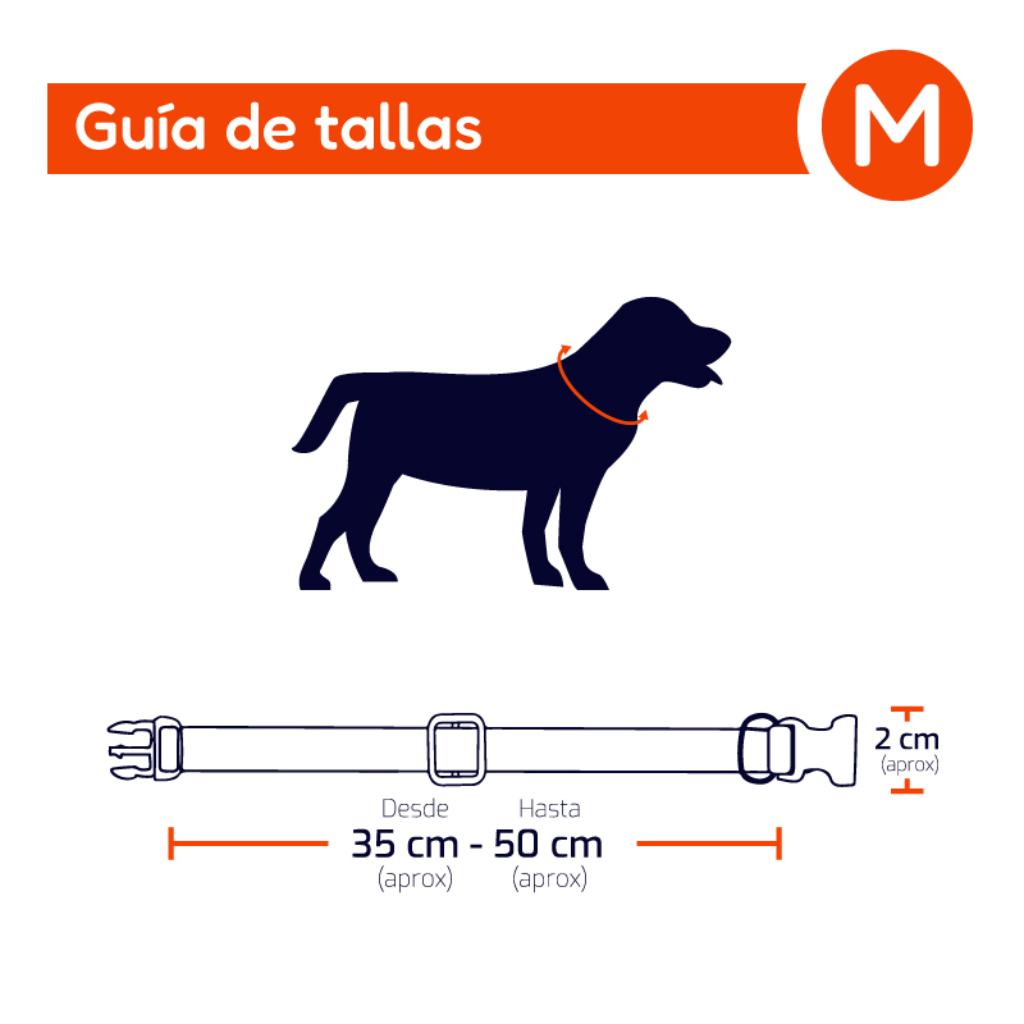 Collar primavera mascota talla M_9