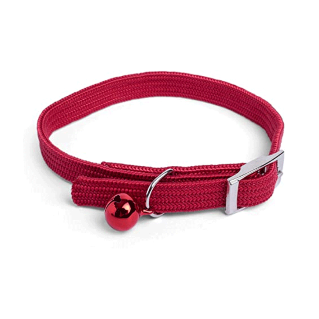 Collar Gato Ajustable_1