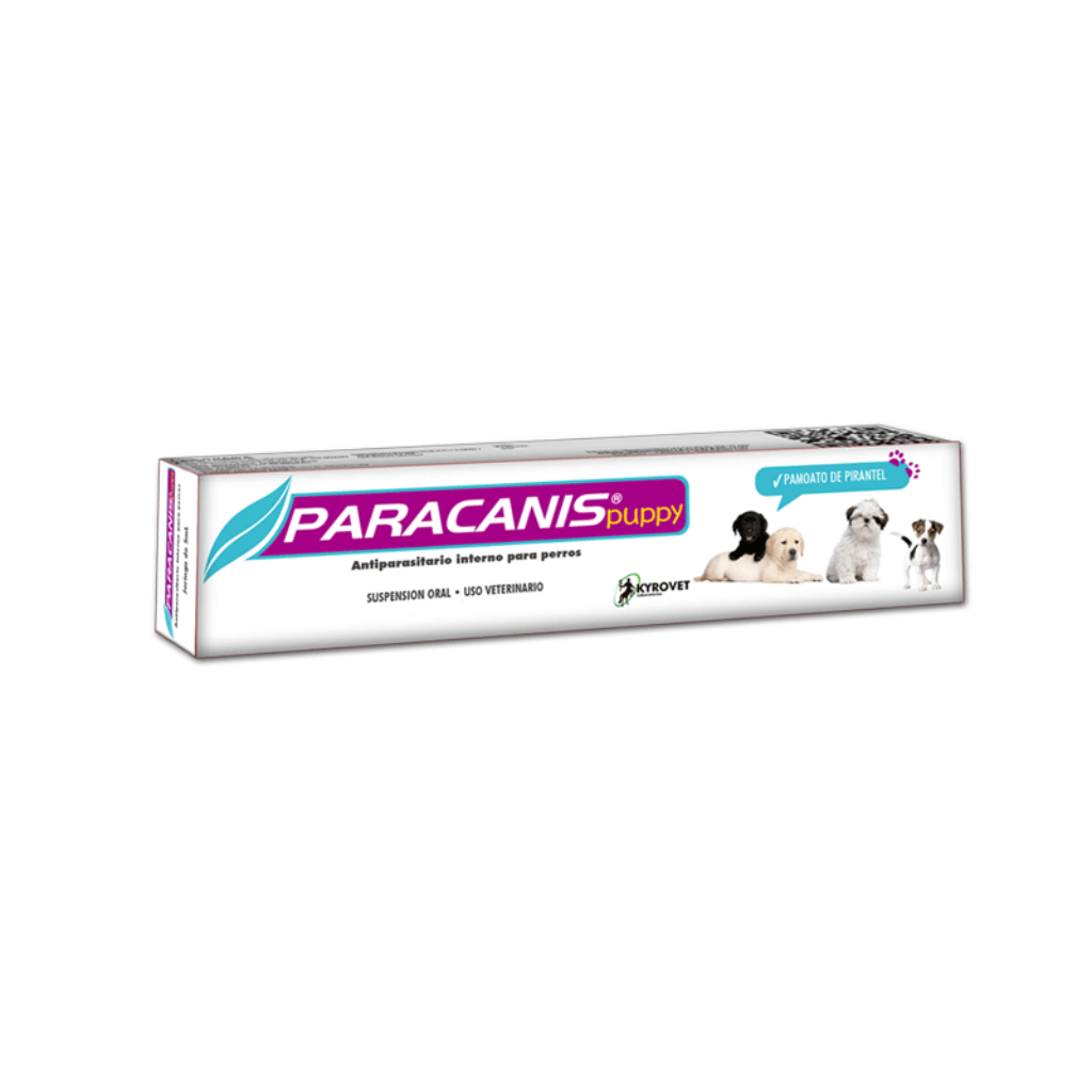 Paracanis puppy 2 Ml_1