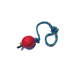 Pelota Pequeña Lazo Huella_1