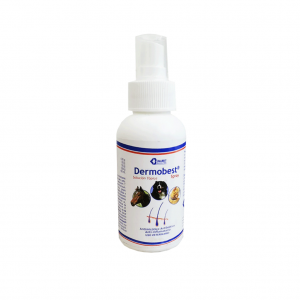 Dermobest Spray 30Ml_1