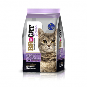 Br Gato Castrado 3kg_1