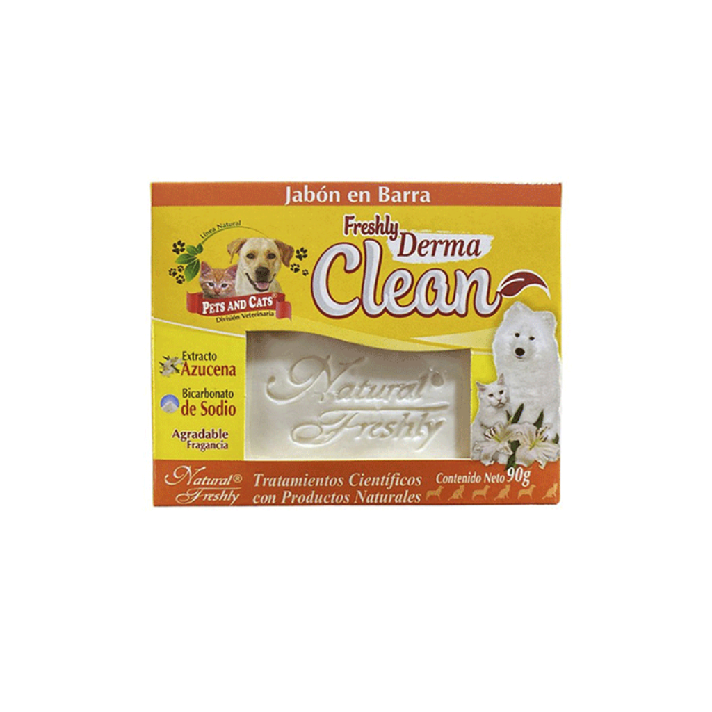 Jabon Freshly Derma Clean 90Gr (DICIEMBRE 2025)_1