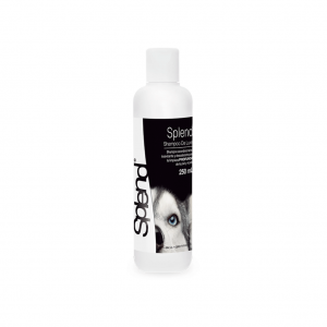 Splend Shampoo De Luxe 250Ml_1
