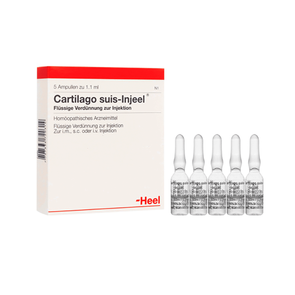 Bronchus Injeel x5 Ampollas - Señor Mascota