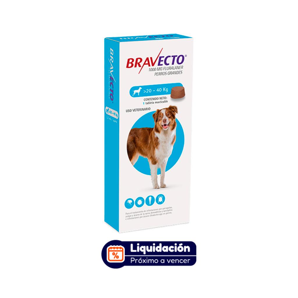 Bravecto 3M 20 a 40kg (Azul) (NOVIEMBRE 2026) - Señor Mascota