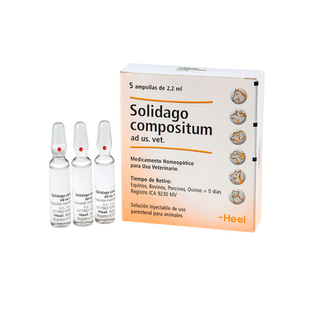 Solidago 5 Ampollas - Señor Mascota