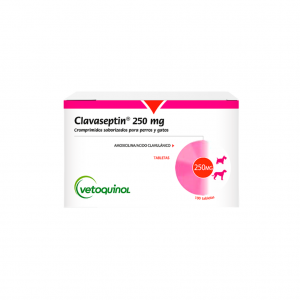 Clavaseptin 250 mg Blister x 10 Tab_1