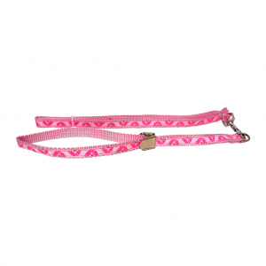 Correa y collar ajustable_1